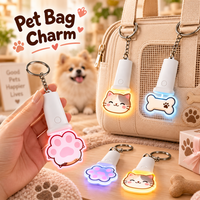 Porte-clés personnalisé en acrylique avec dessin animé, LED, forme patte, os, chat, chien, couleur changeante, breloque de sac, cadeau OEM