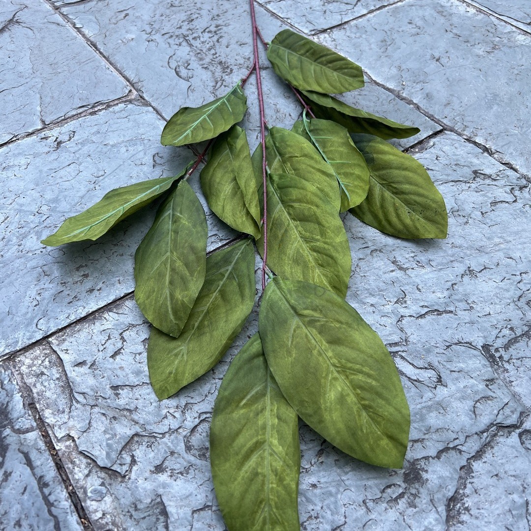 3-pronged crape myrtle leaves-green