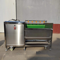 Laveuse et éplucheur de légumes de betterave à sucre de machine de nettoyage de lavage de manioc utilisé commercial
