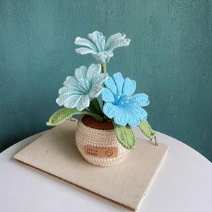 Macetas de Flores Tejidas a Crochet al por Mayor, Hechas a Mano, para Suculentas, Regalos para Boutiques Minoristas - Product Image 6