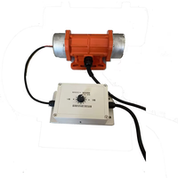 Moteur électrique à vibration, vibrateur de béton, excentrique, haute fréquence, 60W, 70W, 80 V, 24V