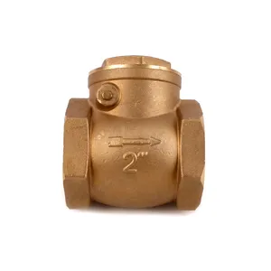 Check Valve Swing JD-3006 Wholesale Pn16 Water Loaded Spring Brass Ball Valve Standard Pneumatic Brass or Steel General PTFE NBR