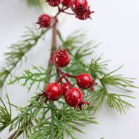 Neue Umweltfreundliche Handgefertigte Plastik-Weihnachtsbeeren-Zweige Roter Kranz Magnolien-Kiefernzweig-Girlande Hängende Dekoration für Feiertags-Szenen