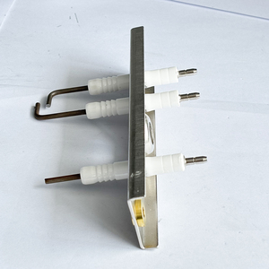 <span class=keywords><strong>Électrode</strong></span> d'<span class=keywords><strong>allumage</strong></span> céramique pour <span class=keywords><strong>chaudière</strong></span> à <span class=keywords><strong>gaz</strong></span> 87186649200 pour <span class=keywords><strong>chaudière</strong></span> à <span class=keywords><strong>gaz</strong></span> - Product Image 6