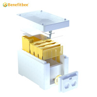 Kit de Démarrage Apicole Ruchette de Fécondation pour Reines Boîte d'Accouplement Nid d'Abeille