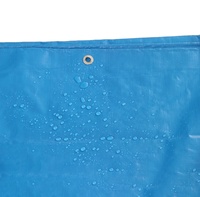 Bâche poly imperméable/bâche poly résistante/bâche de PE