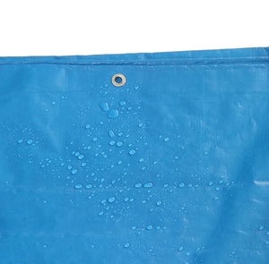 Bâche poly imperméable/bâche poly résistante/bâche de PE - Product Image 3
