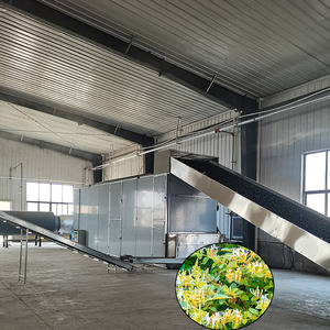 Large Continuous <b>Mesh</b> Belt Dryer Machine Honeysuckle <b>Mesh</b> Belt Dryer Machine - Product Image 1