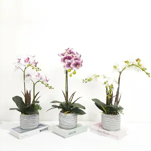 Le ultime orchidee Phalaenopsis personalizzate Bonsai orchidee artificiali piante in vaso Decorative Set Phalaenopsis Orchid Real Touch