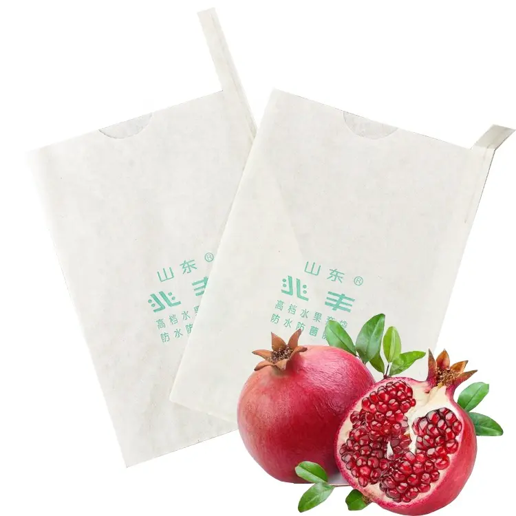 China Factory Wholesale Fruit Grow Paper Bag Pomegranate Paper Bag