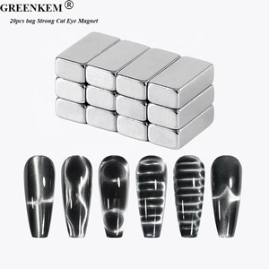 Nouveau 20pcs Forte Magnétique Crocodile Motif Nail Magnet Multi Fonctionnel Long Rectangulaire Cat Eye Magnet Petite Brique Nail Magnet - Product Image 1