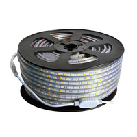 Haute lumière extérieure étanche 220V Flex LED bande lumières 50m 100m blanc chaud blanc froid RGB R/G/B 5050 2835 4040 LED bande lumineuse