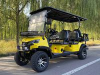 Voiture de golf électrique Livraison gratuite Bon prix Hors route Club Mini Icon Luxe Batterie au lithium 48v 72v 4 places Buggy de plage