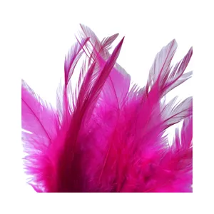 Rose Red Rooster Natural Feather 6-8 Inch bulk Assorted Colorful Feathers Wedding Party Clothing Decoration Handicrafts