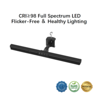 Lampe de bureau LED contemporaine en métal avec commande tactile, alimentation CA, fonctions de gradation, de réglage des couleurs, de minuterie et de mémoire pour salles d'étude, peinture et manucure