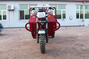 Triciclo de 200cc Más Vendido, Carro de Tres Ruedas con Carrocería Abierta/Cerrada para 2 Pasajeros - Product Image 2
