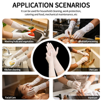 12 gants jetables en nitrile semi-transparents