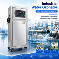 200g 300g PLC Ozonwatergenerator voor kleine schaal mineraalwaterproductielijn desinfectie met SUS304 roestvrij staal