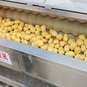 工厂价工业用土豆胡萝卜生姜清洗机土豆工业清洗机不锈钢 - Product Image 2
