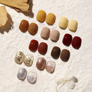 AILANUO Vernis à ongles en gel série marron chaud d'automne 10 couleurs 2 en 1 Couleur de base Vernis à ongles en gel TPO Sans Hema Gel UV pour ongles OEM ODM - Product Image 2