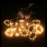 Guirlandes LED avec télécommande USB, étanches IP55, 3m*2m, blanc chaud, décoration de Noël et de mariage pour la maison