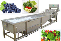 Gemengd Fruit En Groenten Invriezen Lijn Volledige Automatische Mulit Gebruik Bevroren Fruit En Groenten Making Machine Productielijn