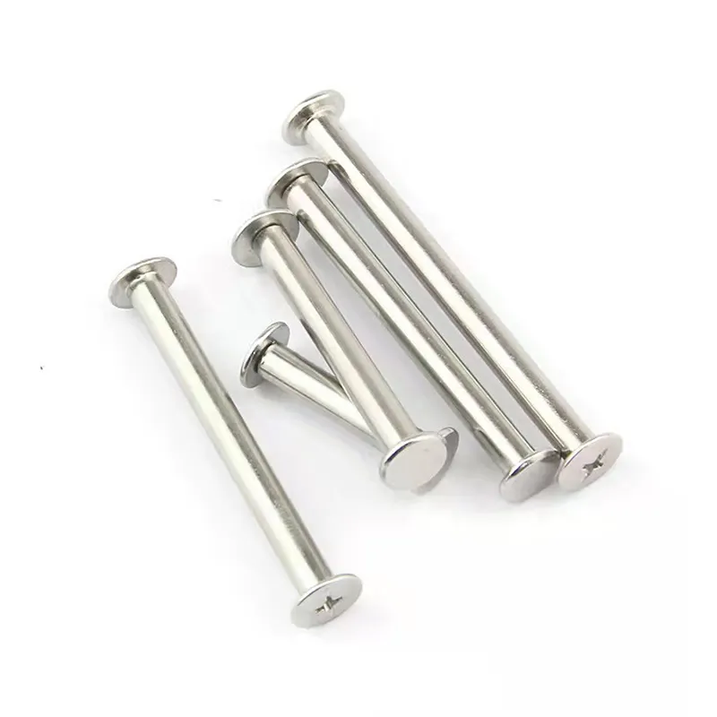 Customised Iron carbon steel or stainless steel screw recipe album sample book nail Sex bolt Chicago Screw