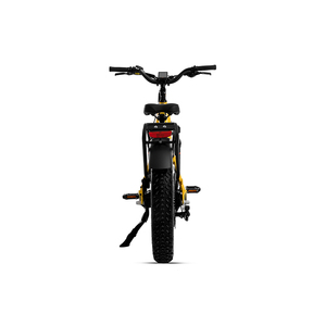 Bicicleta Eléctrica Todoterreno Petite Friendly de 12.8ah/14ah con Neumáticos Gruesos, 48v, Sensor de Torque, Batería Oculta, Estilo Beach Cruiser - Product Image 3