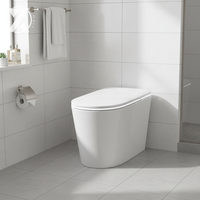 Bidet WC à eau chaude, nettoyage commercial et résidentiel, couvercle à fermeture douce, siège chauffant, télécommande, approvisionnement direct usine, OEM
