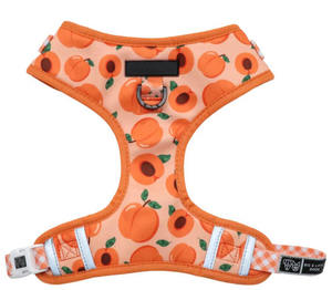 Tali kekang anjing pola kustom dapat dibalik dengan fitur Label personalisasi-produk hewan peliharaan kaya - Product Image 2