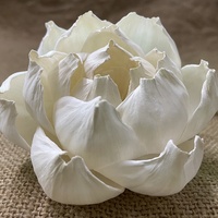 Fleur de sora MF-L40Reed avec mèche en coton, diffuseur de roseau et arrangement de bouquet de parfum corsage