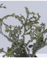 Mousse artificielle verte en soie pour décoration intérieure, plante de mariage, arrangement floral bonsai 85cm, fait main, pour remise de diplôme, fête des mères