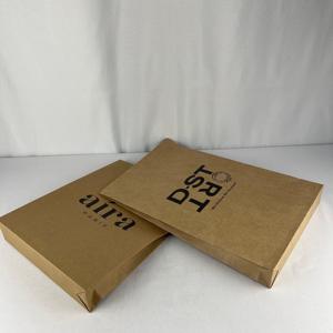 Custom Design Biodegradable Eco-Friendly 3mil Thick Kraft Paper <strong>Large</strong> Shape Mailer Bags Flat Expandable <strong>Envelopes</strong> Packaging for - Product Image 4