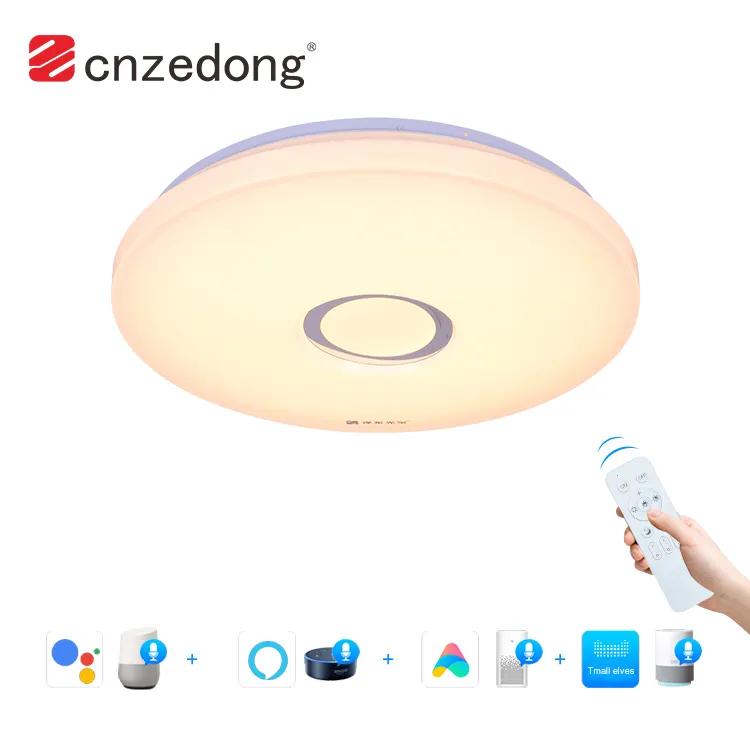 Original High Quality Indoor Remote WIFI Control 24Watt LED Ceiling Light For Hotel