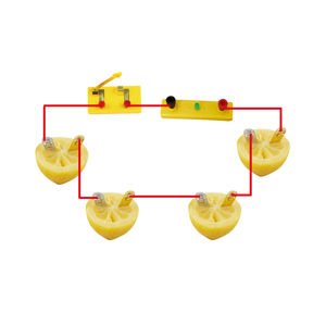 Kit <span class=keywords><strong>de</strong></span> <span class=keywords><strong>physique</strong></span> amusant Fruit Battery Experiment: Générer <span class=keywords><strong>de</strong></span> l'électricité à partir <span class=keywords><strong>de</strong></span> la nature - Product Image 1