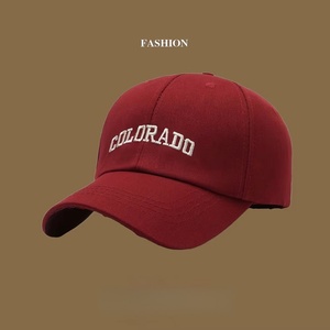 Gorra de Béisbol con Logotipo Personalizado para Hombre y Mujer, Gorra Estructurada de 6 Paneles, Visera Curva, Hebilla de Metal, Gorra Deportiva para las Cuatro Estaciones - Product Image 4