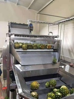 China fabrieksvervaardiging verse fruit concentraat sap productielijn
