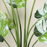 Planta Artificial Decorativa de Hoja de Monstera Blanca, Bonsái, Macetas, Decoración de Jardín, Paisajismo Moderno, Venta al por Mayor de Fábrica, Decoración del Hogar