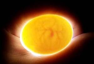 เครื่องตรวจสอบไข่ LED อัตโนมัติ - Product Image 6