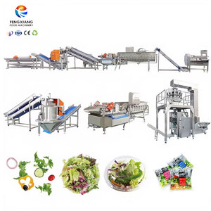 Línea de Procesamiento Comercial de Ensaladas, Línea de Producción de Vegetales, Línea de Corte, Lavado y Secado de Frutas y Verduras - Product Image 1
