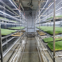 Système automatisé de serre d'intérieur en acier inoxydable pour la culture hydroponique de fourrage d'orge, ferme conteneurisée motorisée