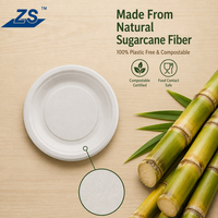 Assiettes de fête robustes en bagasse biodégradable, écologiques, jetables, sûres, en vrac