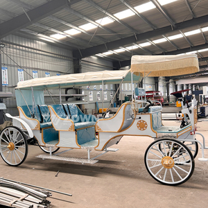 Voiture de tourisme électrique de haute qualité à 4 roues, buggy de tourisme alimenté par batterie pour les mariages et le transport dans les parcs touristiques - Product Image 5