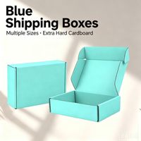 Boîtes d'abonnement Pastel Cyan, boîtes en carton ondulé renforcé pour assemblages de coffrets cadeaux mensuels