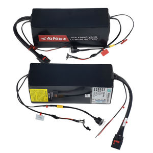 定制24V 36V 48V 60V 72v自动导引车AGV WMR轮式移动机器人电动轮椅锂离子电池 - Product Image 1