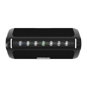 SODLK T18 Party Protabl Karaoke altoparlante Powful con microfono RGB luce impermeabile altoparlante senza fili - Product Image 4