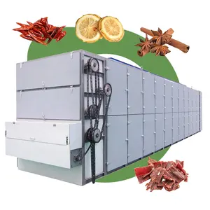 Mandioca Banana Chip Pimenta Preta Carvão Briquete Red Chilli Transportador Mesh Belt Dryer Máquina De Secagem Sri Lanka