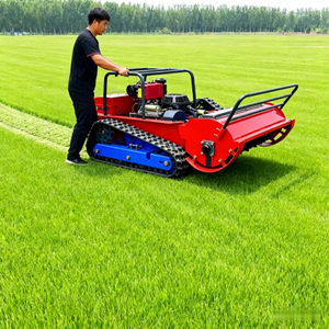 Tondeuse à gazon à chenilles haute efficacité pour terrains en pente, hauteur de coupe 900 mm, 20-260 mm, à vendre - Product Image 5