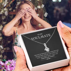 Romantik bildirimi kolye takı kişiselleştirilmiş hediyeler benim Soulmate kolye gümüş elmas kolye kolye kadınlar için