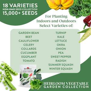 Burpee héritage légume 15,000 + variété Pack betteraves haricots chou-fleur céleri poivron <span class=keywords><strong>navet</strong></span> pour pots de fleurs jardinières - Product Image 2